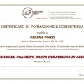 Ingrandire l'immagine: certificate 6