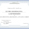 Ingrandire l'immagine: certificate 7