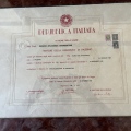 Ingrandire l'immagine: certificate 2