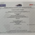 Ingrandire l'immagine: certificate 41