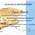 Ingrandire l'immagine: certificate 2