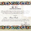 Ingrandire l'immagine: certificate 1