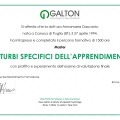 Ingrandire l'immagine: certificate 1