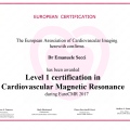 Ingrandire l'immagine: certificate 5