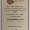 Ingrandire l'immagine: certificate 3