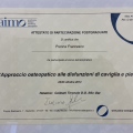 Ingrandire l'immagine: certificate 5