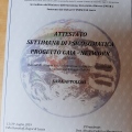Ingrandire l'immagine: certificate 11