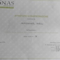 Ingrandire l'immagine: certificate 2