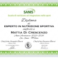 Ingrandire l'immagine: certificate 22