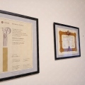 Ingrandire l'immagine: certificate 1