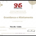 Ingrandire l'immagine: certificate 3