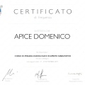 Ingrandire l'immagine: certificate 8