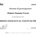 Ingrandire l'immagine: certificate 6