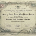 Ingrandire l'immagine: certificate 3