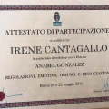 Ingrandire l'immagine: certificate 13