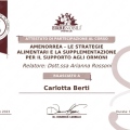 Ingrandire l'immagine: certificate 2