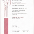 Ingrandire l'immagine: certificate 2