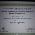 Ingrandire l'immagine: certificate 15