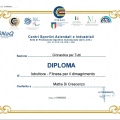 Ingrandire l'immagine: certificate 17