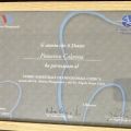 Ingrandire l'immagine: certificate 6