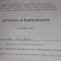 Ingrandire l'immagine: certificate 6
