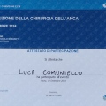 Ingrandire l'immagine: certificate 7