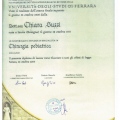 Ingrandire l'immagine: certificate 1