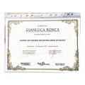 Ingrandire l'immagine: certificate 1