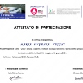 Ingrandire l'immagine: certificate 3