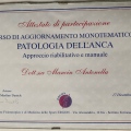 Ingrandire l'immagine: certificate 12
