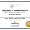 Ingrandire l'immagine: certificate 4