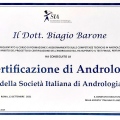 Ingrandire l'immagine: certificate 1