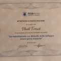 Ingrandire l'immagine: certificate 2