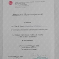 Ingrandire l'immagine: certificate 46