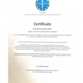 Ingrandire l'immagine: certificate 8
