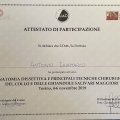 Ingrandire l'immagine: certificate 19