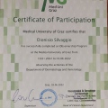Ingrandire l'immagine: certificate 3