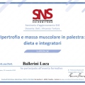 Ingrandire l'immagine: certificate 3