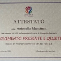 Ingrandire l'immagine: certificate 9
