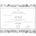Ingrandire l'immagine: certificate 2