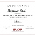 Ingrandire l'immagine: certificate 11