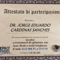 Ingrandire l'immagine: certificate 4