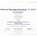 Ingrandire l'immagine: certificate 2