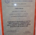 Ingrandire l'immagine: certificate 4