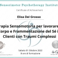 Ingrandire l'immagine: certificate 1