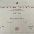 Ingrandire l'immagine: certificate 1