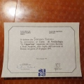 Ingrandire l'immagine: certificate 17