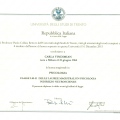 Ingrandire l'immagine: certificate 4