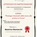 Ingrandire l'immagine: certificate 5