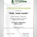 Ingrandire l'immagine: certificate 31